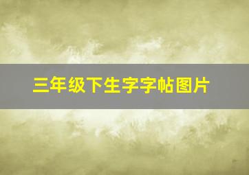 三年级下生字字帖图片