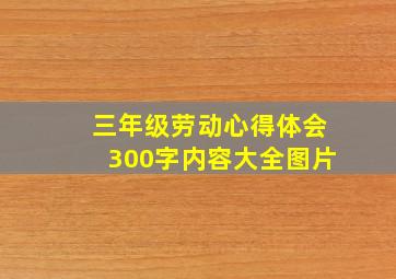 三年级劳动心得体会300字内容大全图片