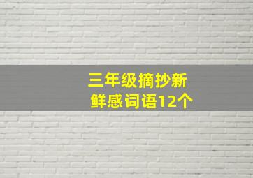 三年级摘抄新鲜感词语12个