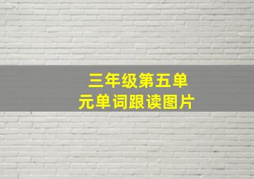 三年级第五单元单词跟读图片