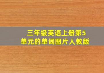 三年级英语上册第5单元的单词图片人教版