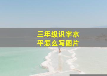 三年级识字水平怎么写图片