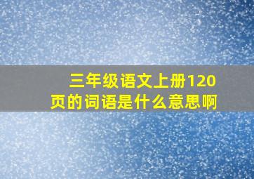 三年级语文上册120页的词语是什么意思啊