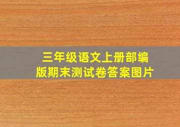 三年级语文上册部编版期末测试卷答案图片