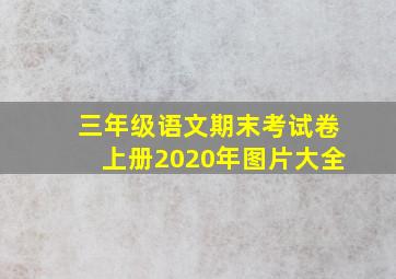 三年级语文期末考试卷上册2020年图片大全