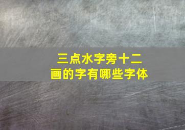 三点水字旁十二画的字有哪些字体