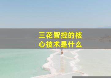 三花智控的核心技术是什么