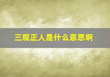 三观正人是什么意思啊