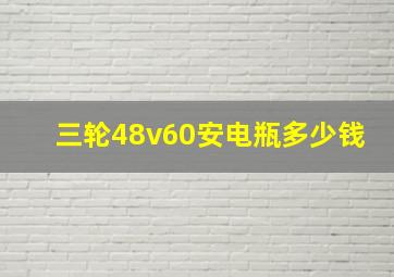 三轮48v60安电瓶多少钱