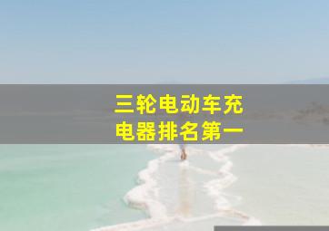 三轮电动车充电器排名第一