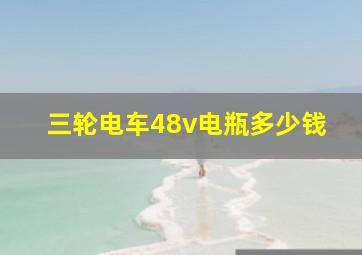 三轮电车48v电瓶多少钱