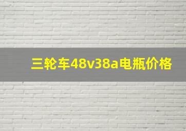 三轮车48v38a电瓶价格