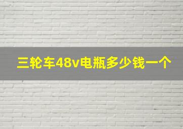 三轮车48v电瓶多少钱一个