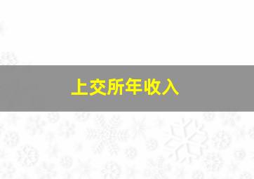 上交所年收入