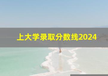 上大学录取分数线2024