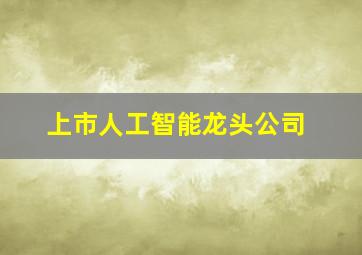 上市人工智能龙头公司