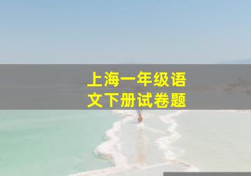 上海一年级语文下册试卷题