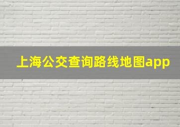 上海公交查询路线地图app