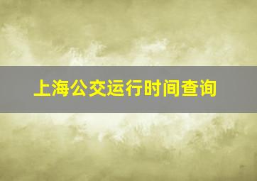 上海公交运行时间查询