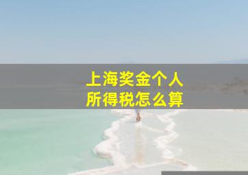 上海奖金个人所得税怎么算