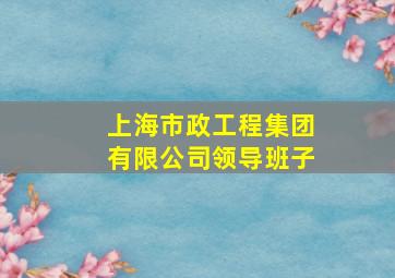 上海市政工程集团有限公司领导班子