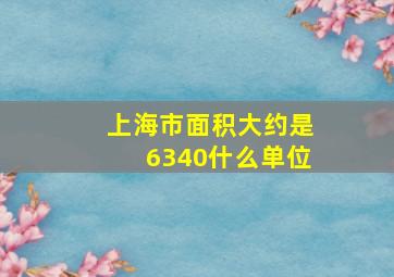 上海市面积大约是6340什么单位