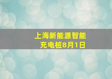 上海新能源智能充电桩8月1日