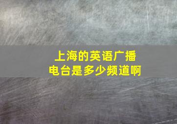 上海的英语广播电台是多少频道啊