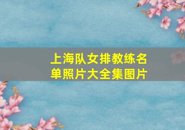 上海队女排教练名单照片大全集图片