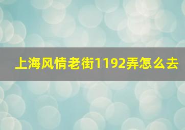 上海风情老街1192弄怎么去