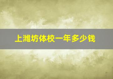 上潍坊体校一年多少钱