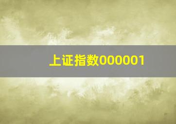 上证指数000001