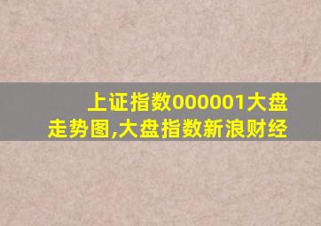 上证指数000001大盘走势图,大盘指数新浪财经