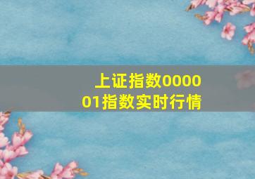 上证指数000001指数实时行情