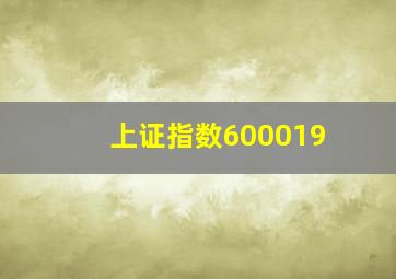 上证指数600019