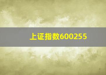 上证指数600255