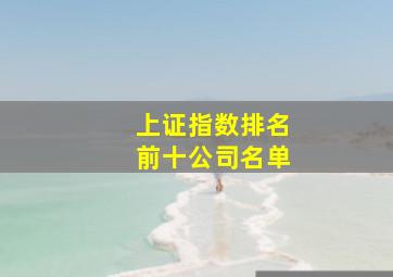 上证指数排名前十公司名单