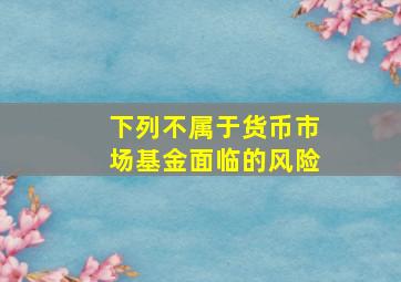 下列不属于货币市场基金面临的风险