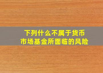 下列什么不属于货币市场基金所面临的风险