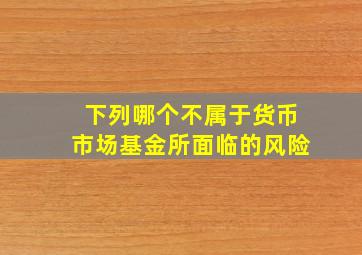 下列哪个不属于货币市场基金所面临的风险