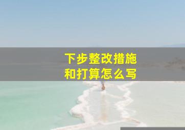 下步整改措施和打算怎么写