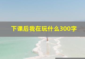 下课后我在玩什么300字