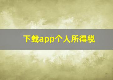 下载app个人所得税