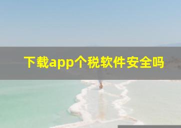 下载app个税软件安全吗