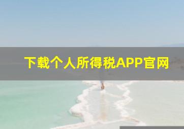 下载个人所得税APP官网