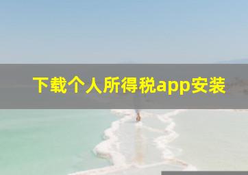 下载个人所得税app安装