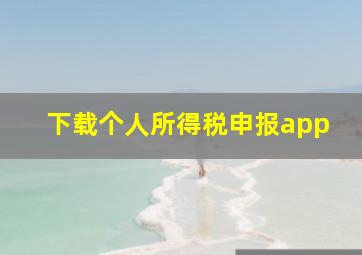 下载个人所得税申报app