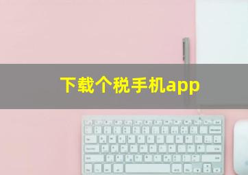 下载个税手机app