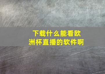 下载什么能看欧洲杯直播的软件啊