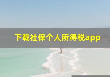 下载社保个人所得税app